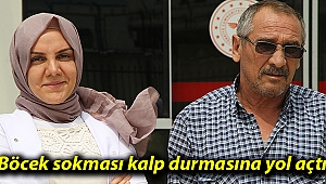 Böcek sokması kalp durmasına yol açtı