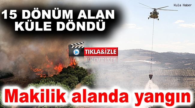 Makilik alanda yangın: 15 dönüm alan küle döndü